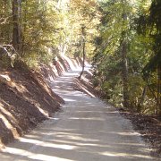 realizzazione strade forestali (17)